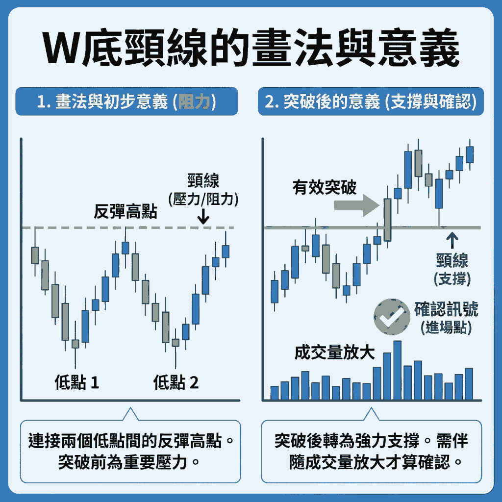 W底頸線的畫法與意義