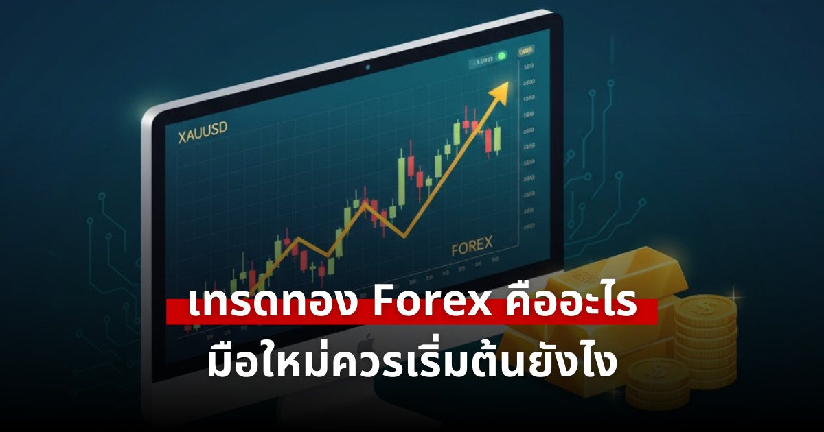 เทรดทอง Forex (XAUUSD) คืออะไร? คู่มือเริ่มต้นพร้อมเทคนิคไม่ล้างพอร์ต