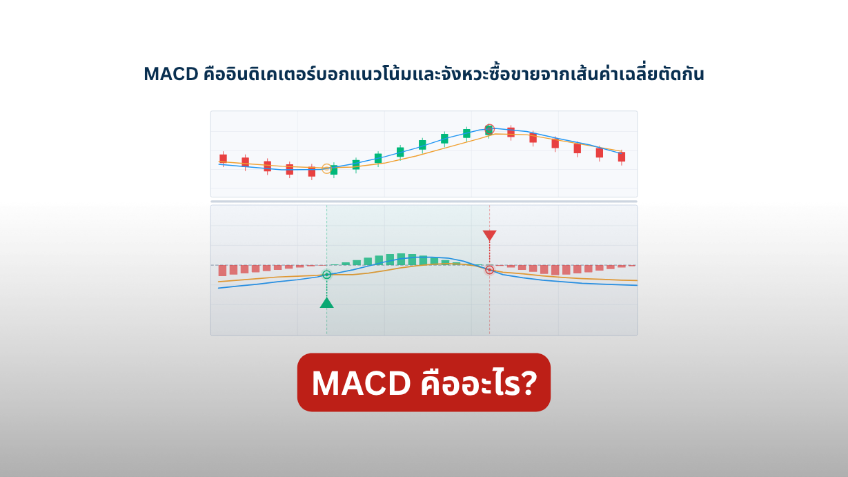 MACD คืออะไร? เจาะลึกวิธีใช้เพื่อหาเทรนด์และจุดกลับตัวอย่างมือโปร